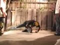 KINGS OF KRUMP PART 1