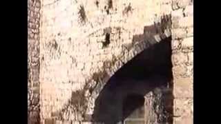 قرية رامين وتاريخها في ثورة 1936 1939 ، إعداد د  فيحاء عبد الهادي   الجزء الثاني