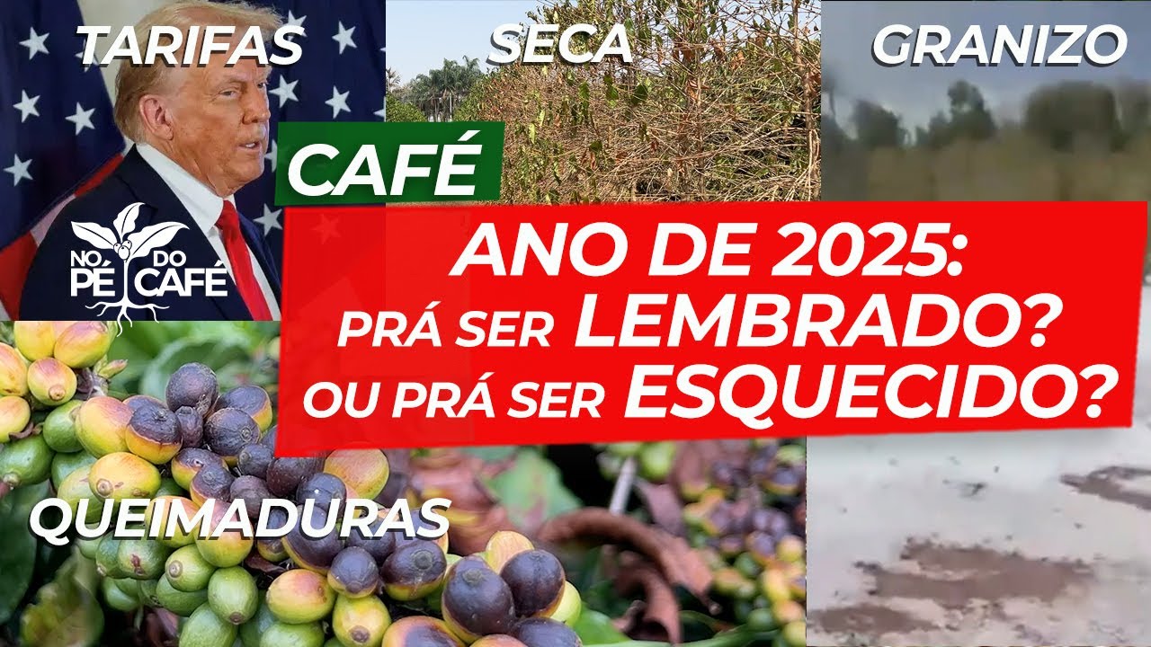 2025 na CAFEICULTURA: CLIMA, MERCADO, TARIFAS...É um ano PRÁ SER LEMBRADO ou ESQUECIDO?