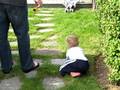 videos de walking around ducksholm