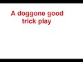 A Doggone Good Trick Play