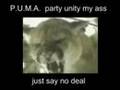 PUMA ROARS - justsaynodeal