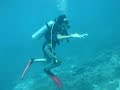 Diving at Nusa Penida 1