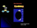 Glyconutrients & Health