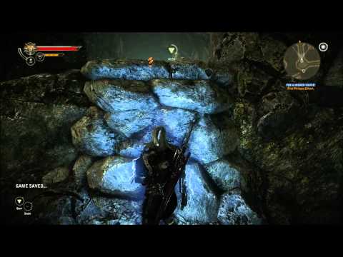 The Witcher 2 : Assassins of Kings