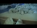 The Pineapple factory 6