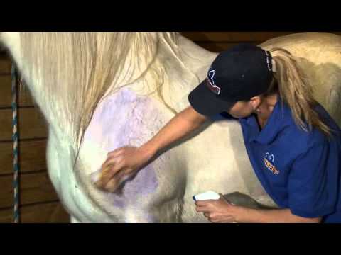 how to whiten horse tail