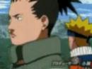 Naruto-Rollin\