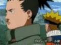 Naruto-Rollin'