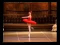 svethlana zacharova-don quixote