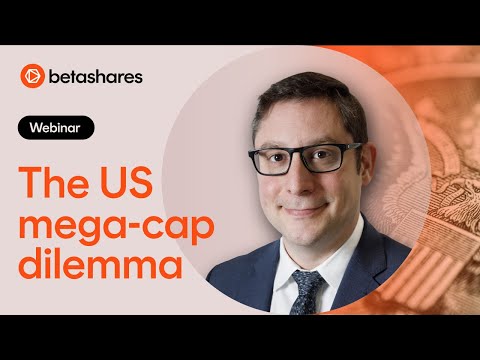 The US mega-cap dilemma and equity index investing