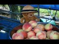 http://www.e-toko.com/前半はひまわりツアー、後半はイカダツアーのイメージ映像。ゴローも活躍。
