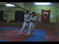 taekwondo turk