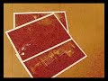 Fire Fly?PV Fire Fly?PV