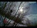 videos de Children of Winter Extra Steamboat Tree Skiing