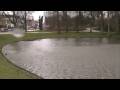 Begin van de lente ?