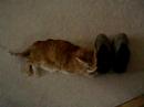 JJ Being Crazy with my shoes Pt 2