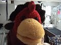 Animal ER Clinic Time Lapse