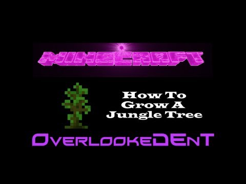 how to grow jungle trees in minecraft