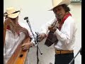 nueva italia grupo de arpa viva michoacan