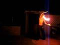 fire fly
