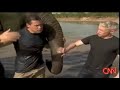 elephant gives jeff corwin a love bite