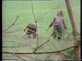 Four Hours In My Lai (4 of 7)