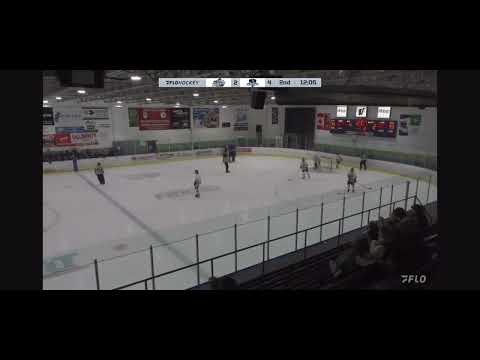 Bar down Goal, USPHL Premier, November 30th 2024