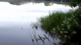 ETANG DU PARC SOUBISE