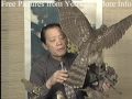 Flower Bird Chinese painting (Part 3/3000) 國畫小鳥 Anatomy with calligraphy stroke for wings
