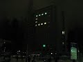 Mikontalo Lights - Snake
