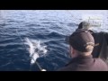 Jacksons Fishing Charters Norfolk Island