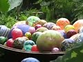 Chihuly at Phipps