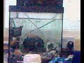 students going fishing