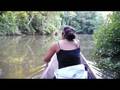 videos de Allison in JungleLand