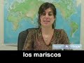 group4_video1