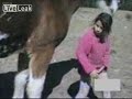 Los caballos también se defienden
