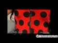 Pretty Ladybug Adult 3X-4X