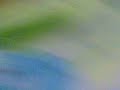 pak