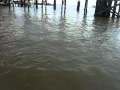 IMG_0387.MOV