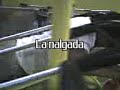 las mamadas que acemos en nuestro tiempo libre