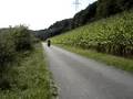 Condor on a lonesome Road, Part 2