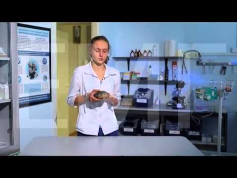 Микоз у черепах