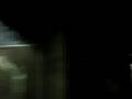 videos de bardo en temaiken