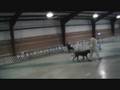 videos de Rush wins Group 1st