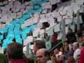 FORTITUDO VS PESARO