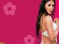 Kareena Kapoor  Bollywood Princess