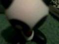 emo panda documentart