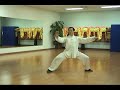 Group Tai Chi Demo April 9 at Olympic Torch Relay USA SF 2