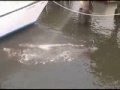 Video processing YouTube Thumbnail
